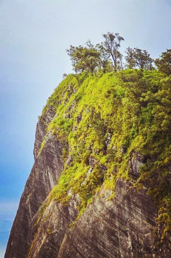 Nice place