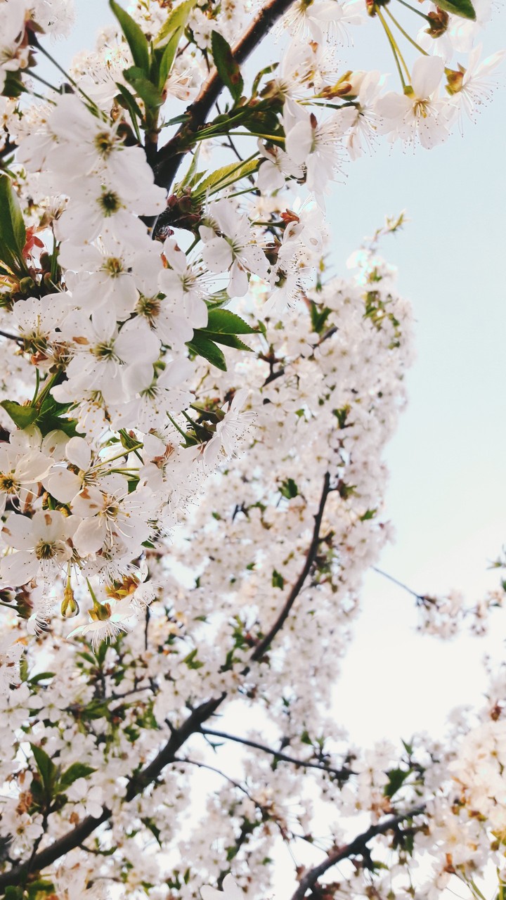 Spring. just spring