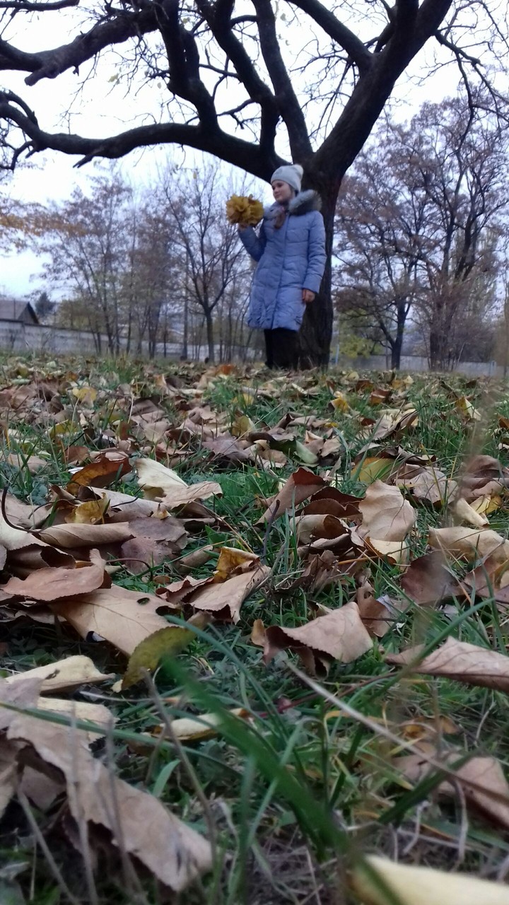 Осенняя прогулка