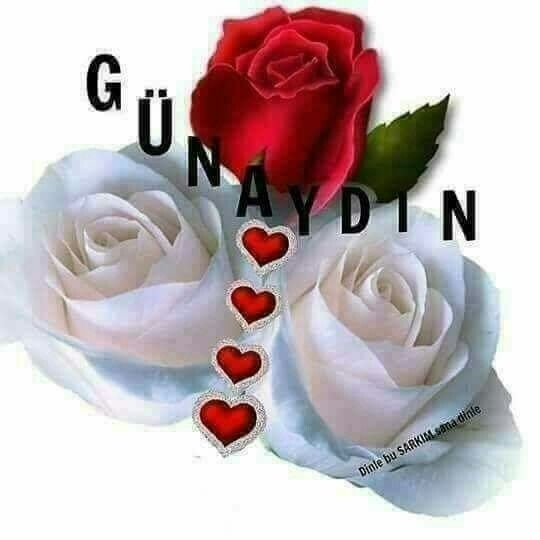 Gunaydin =Bonjour =Good morning