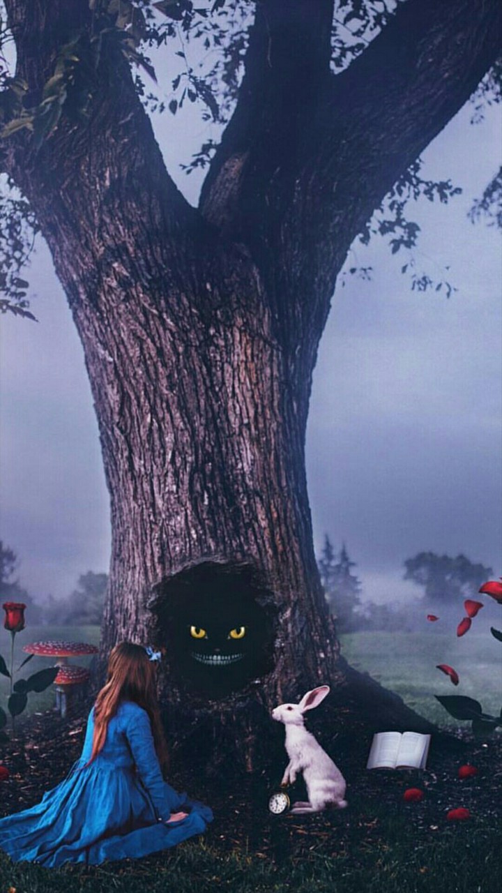 ....