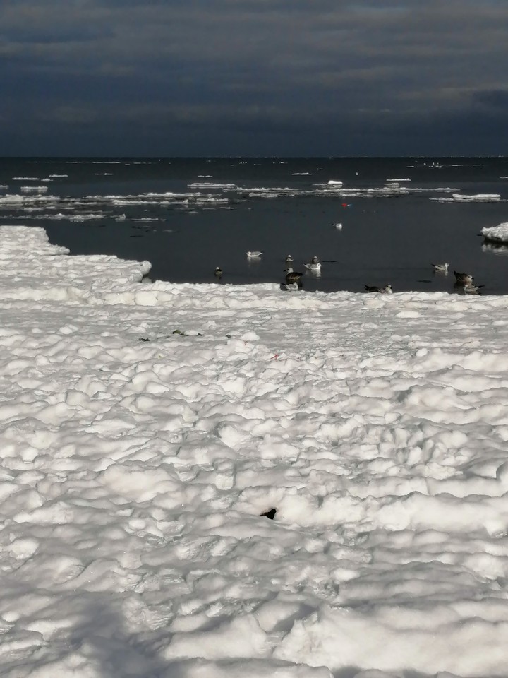 Baltic sea.
