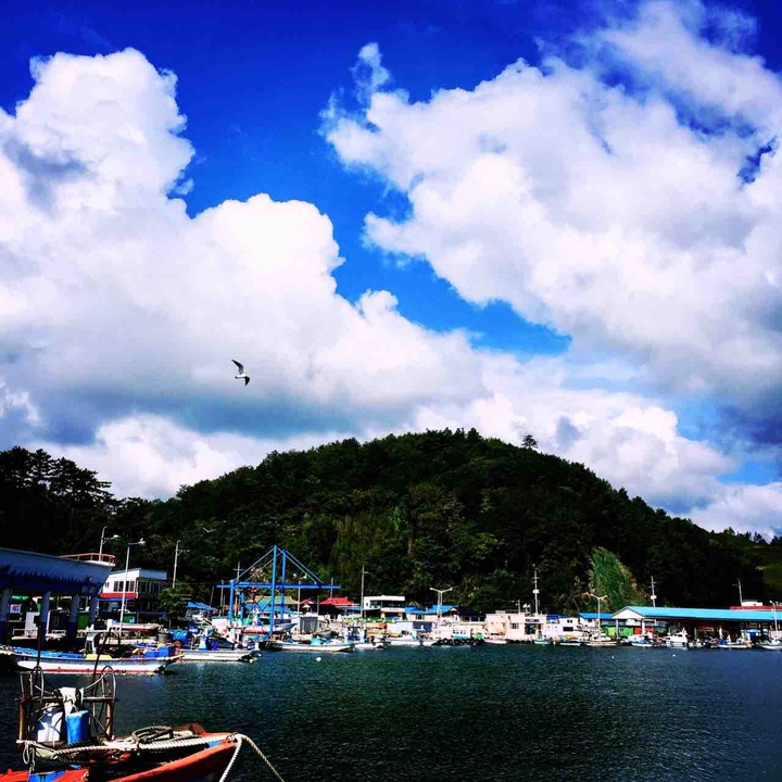 Korea East Sea Habor