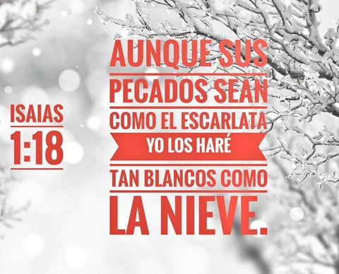 Versículo Diario