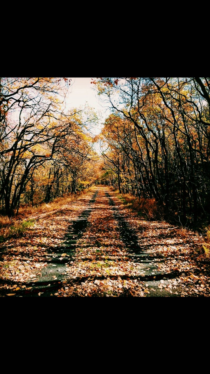A walk to remember