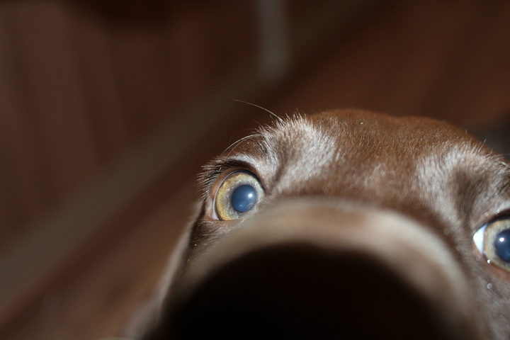 Who is that?