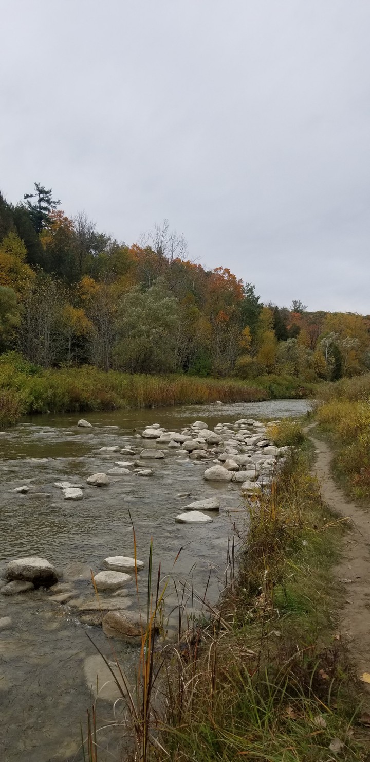 fall