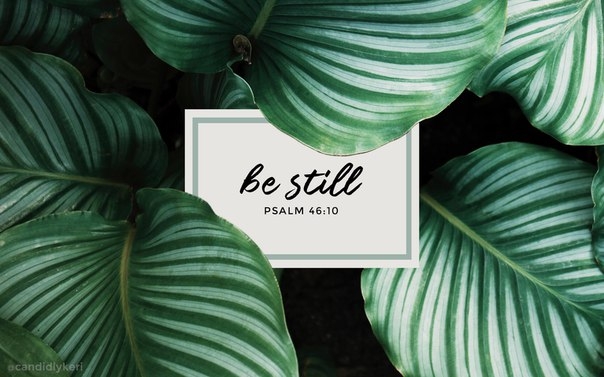 Green.Still
