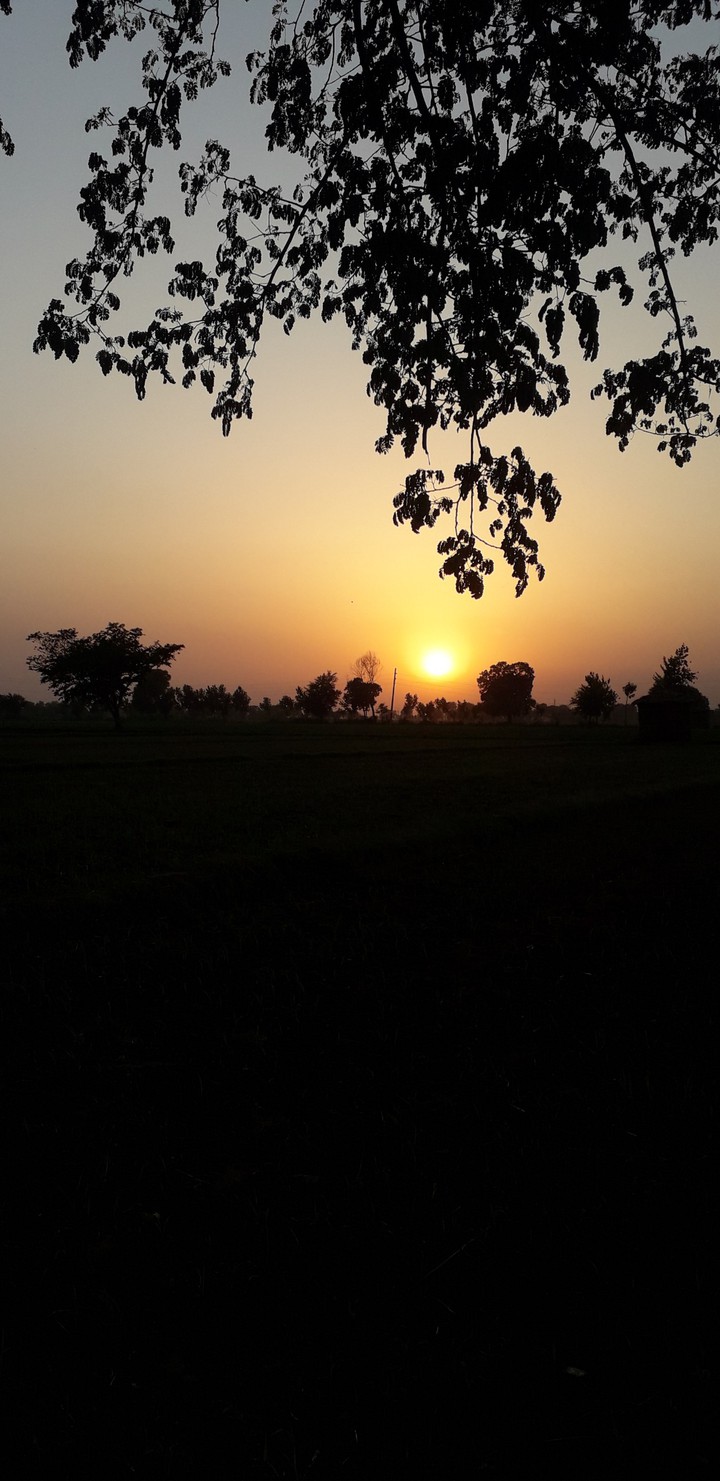 I am going home
