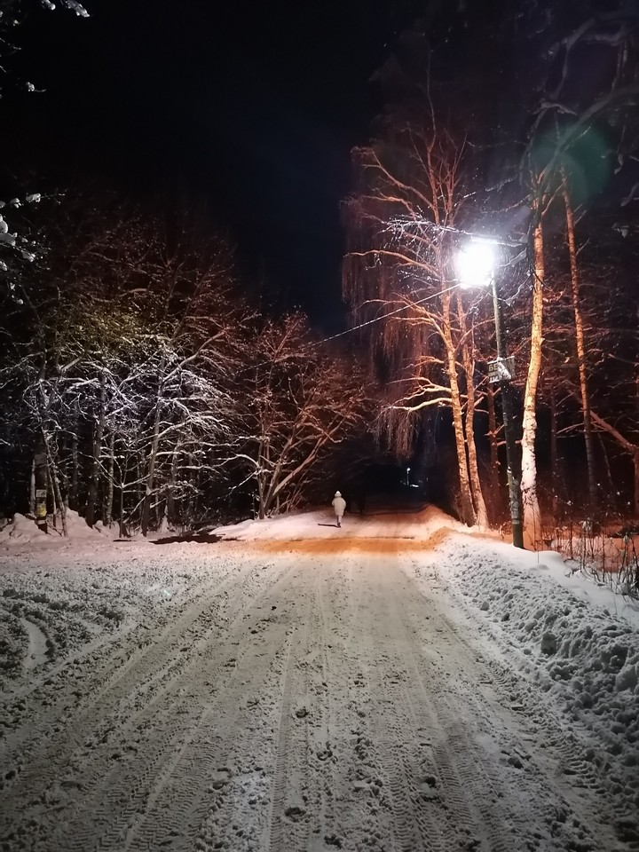 дорога