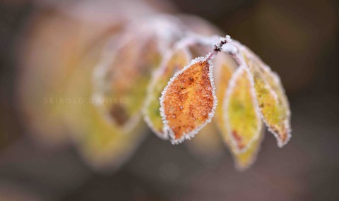 herbstlich