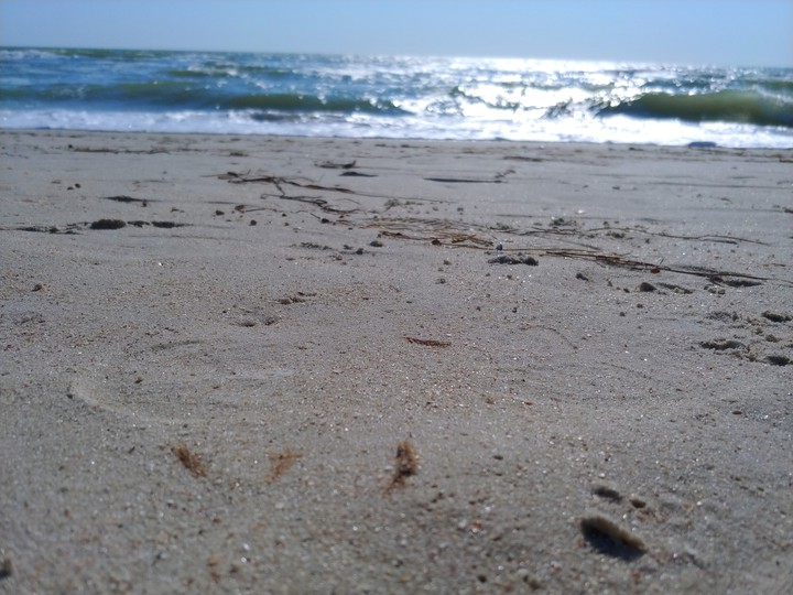 Sea