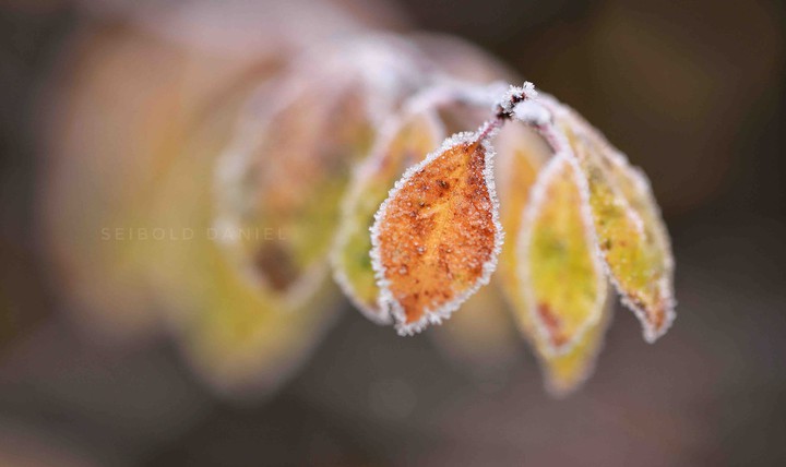 herbstlich