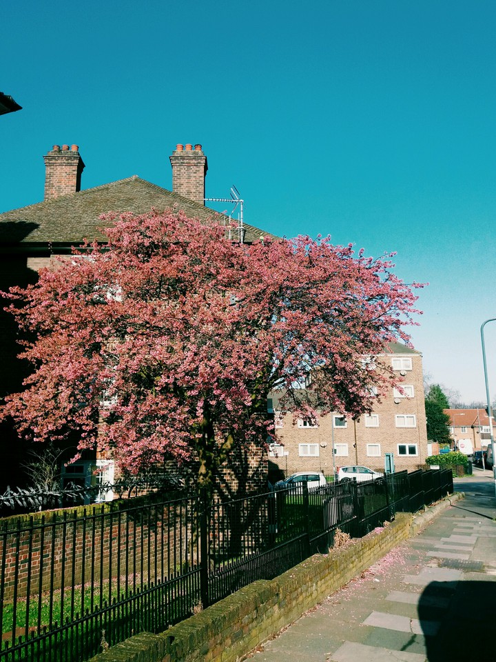 February in London ?