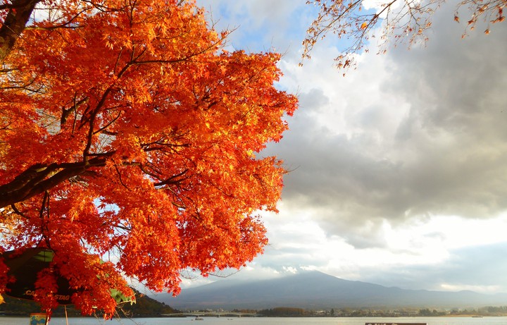 隠れた富士山と紅葉