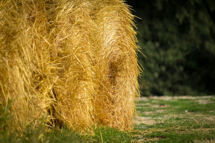 Straw bale