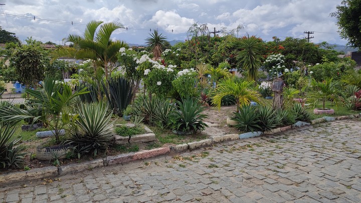 Jardim