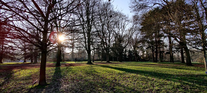 park