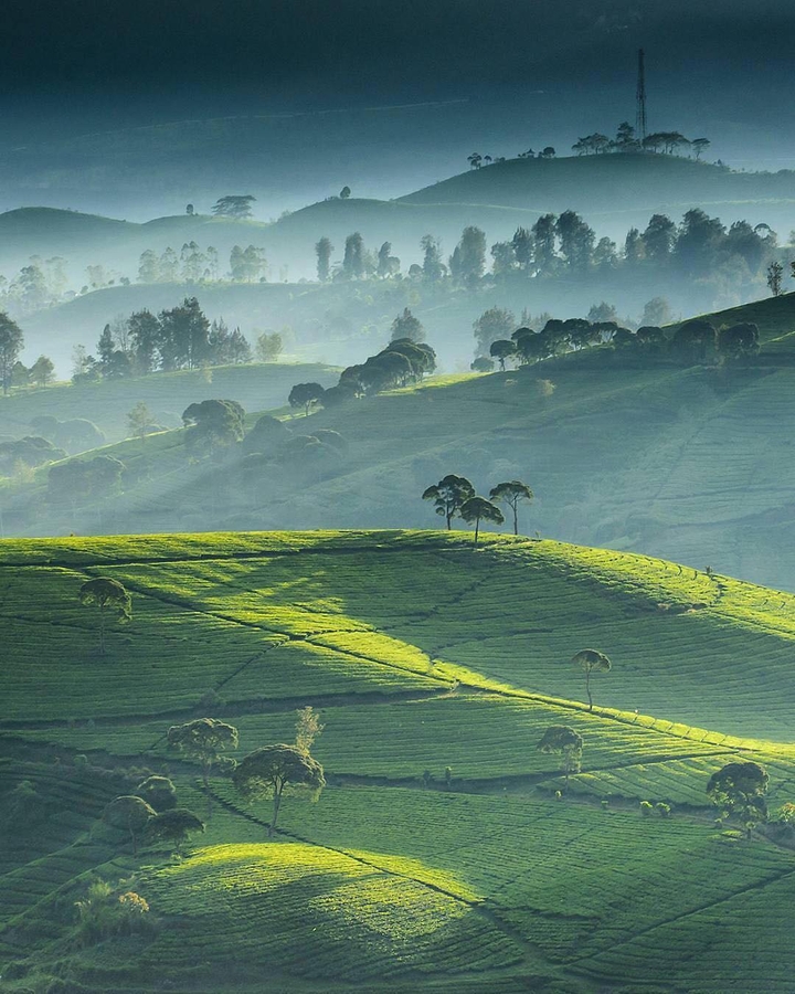 indonesia