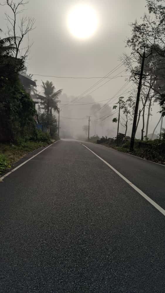 Foggy morning