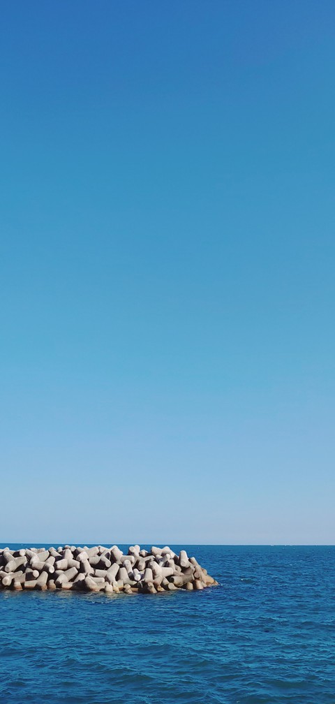 바다