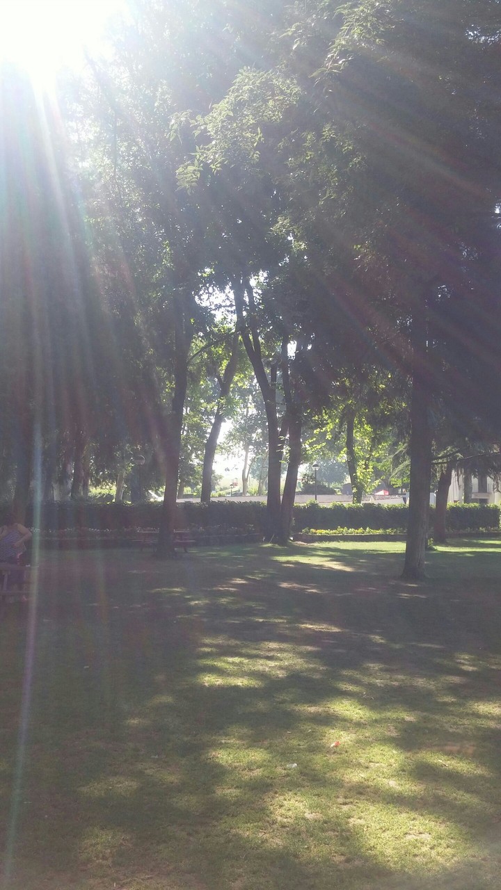 luce del sole