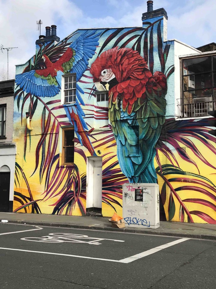 wall parrot