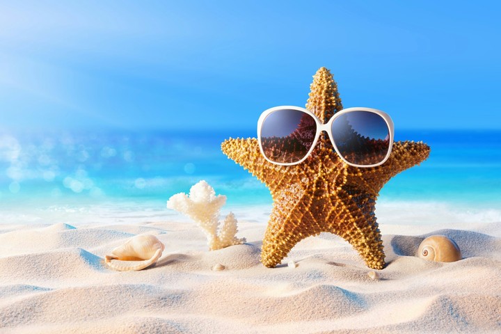 WITTY STARFISH