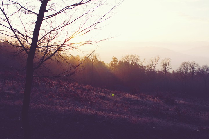 Sunrise