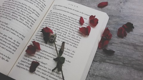 twig, plant duvar kağıtları