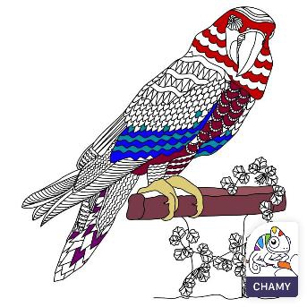 nice  bird
