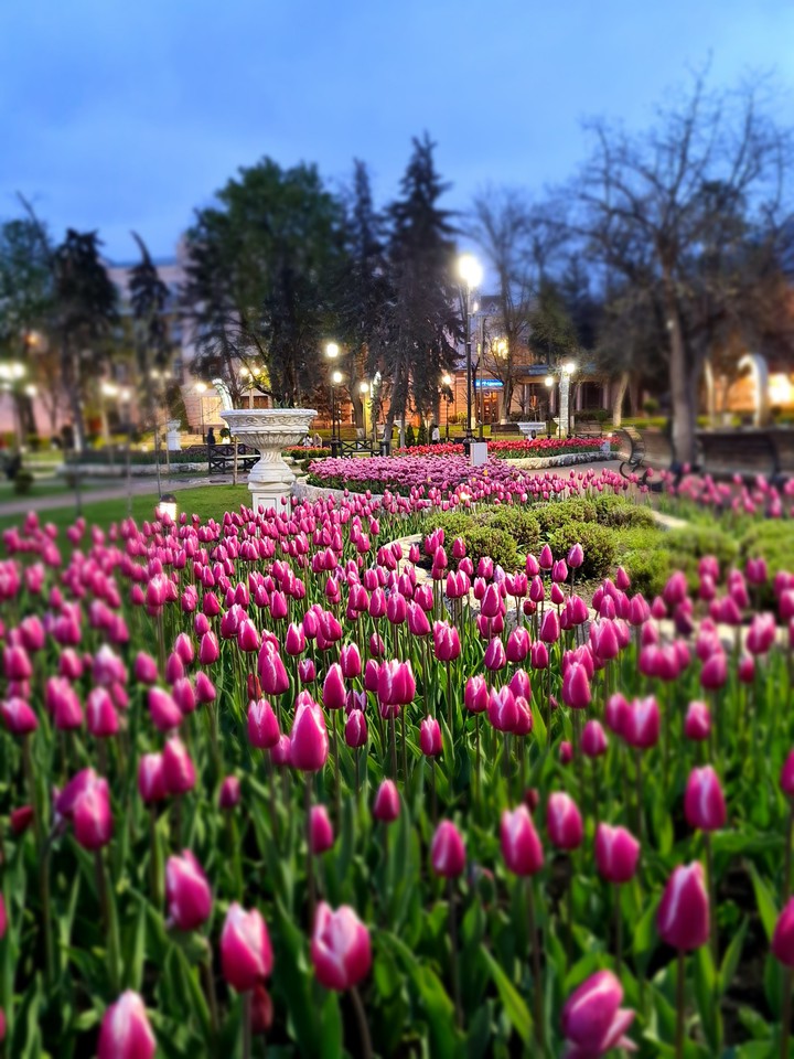 весна