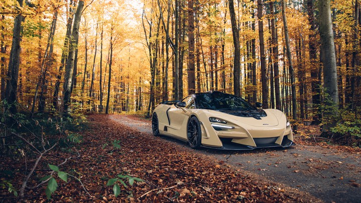 McLaren sena