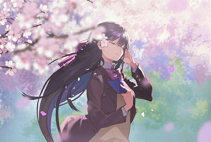 Anime ~