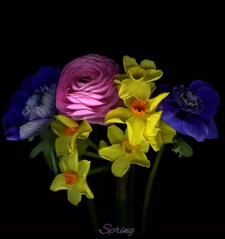 spring
