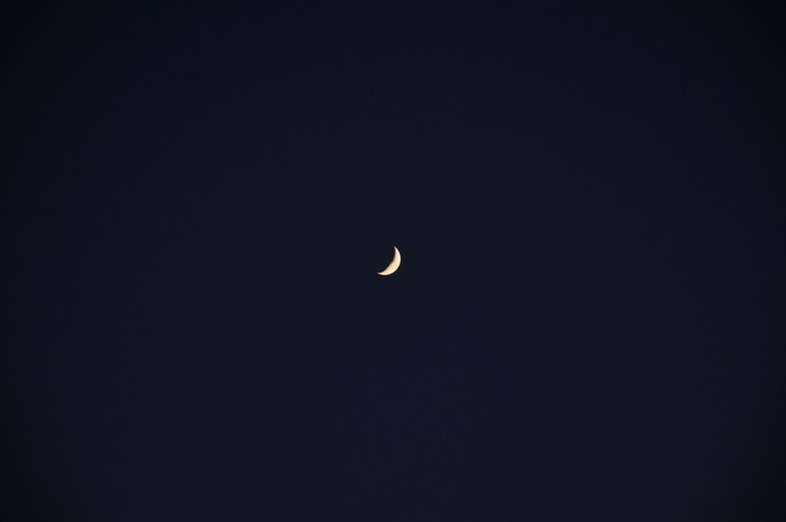 fly me to the moon