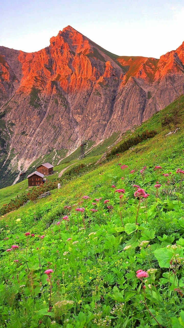 nature