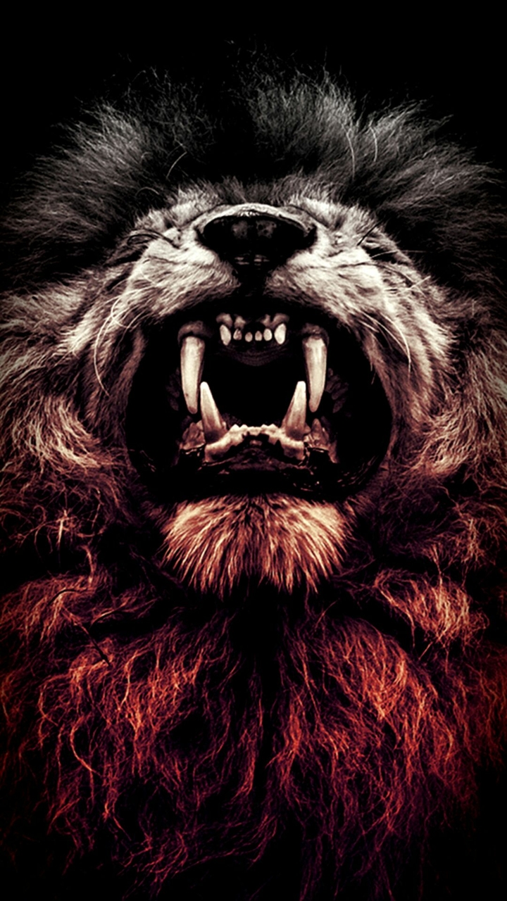 Lion King