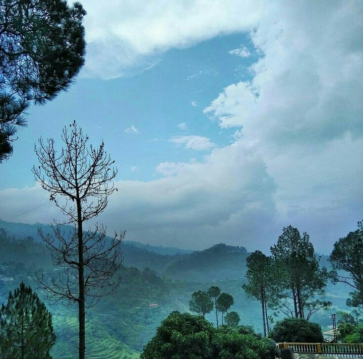 Somewhere in the mist