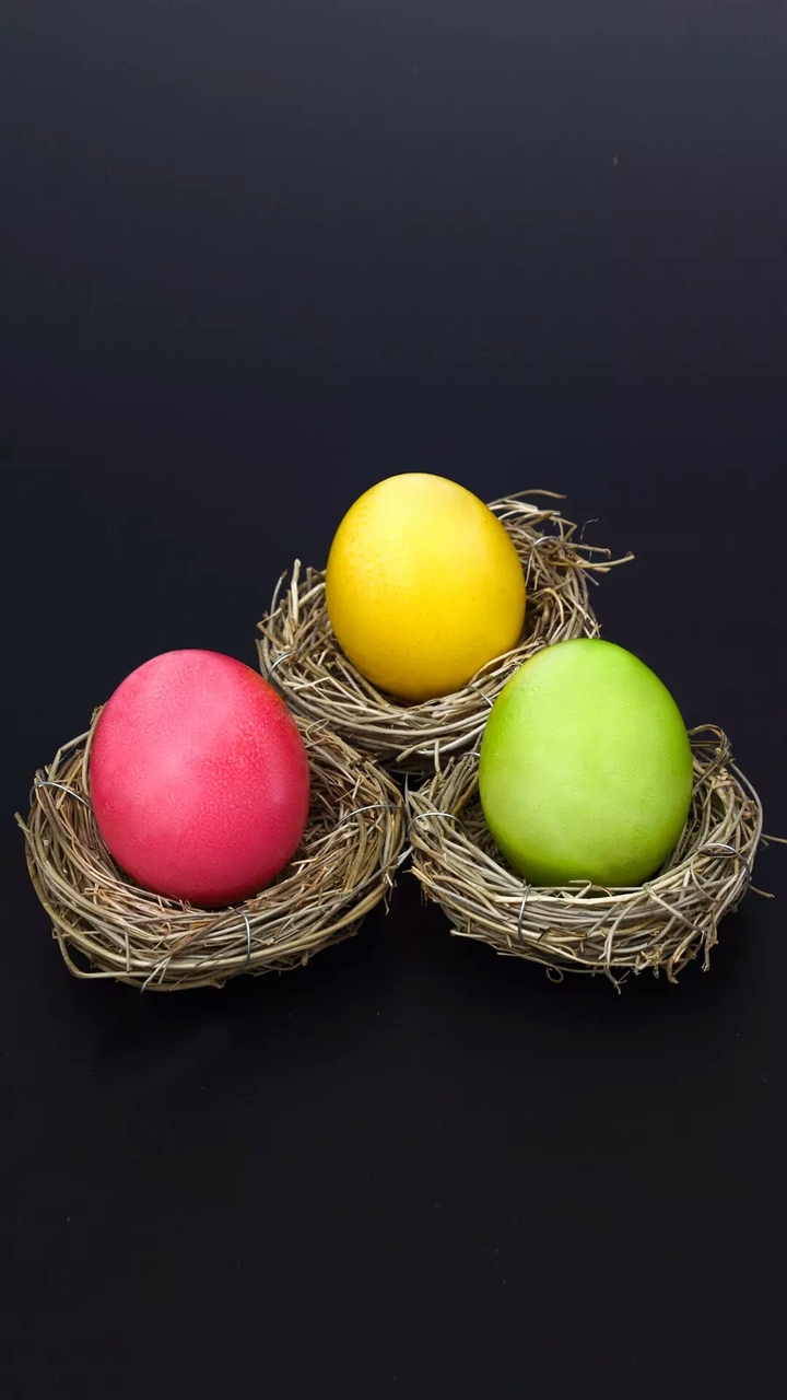 three colours ege