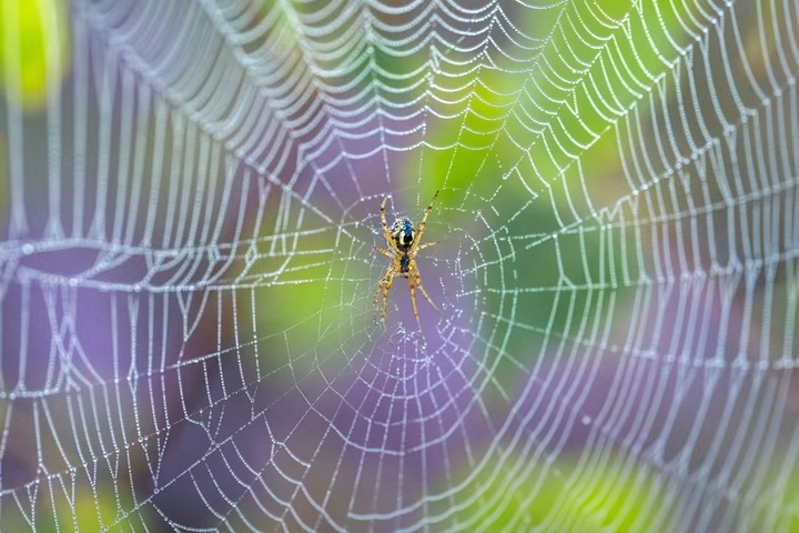 Nature is beautiful!