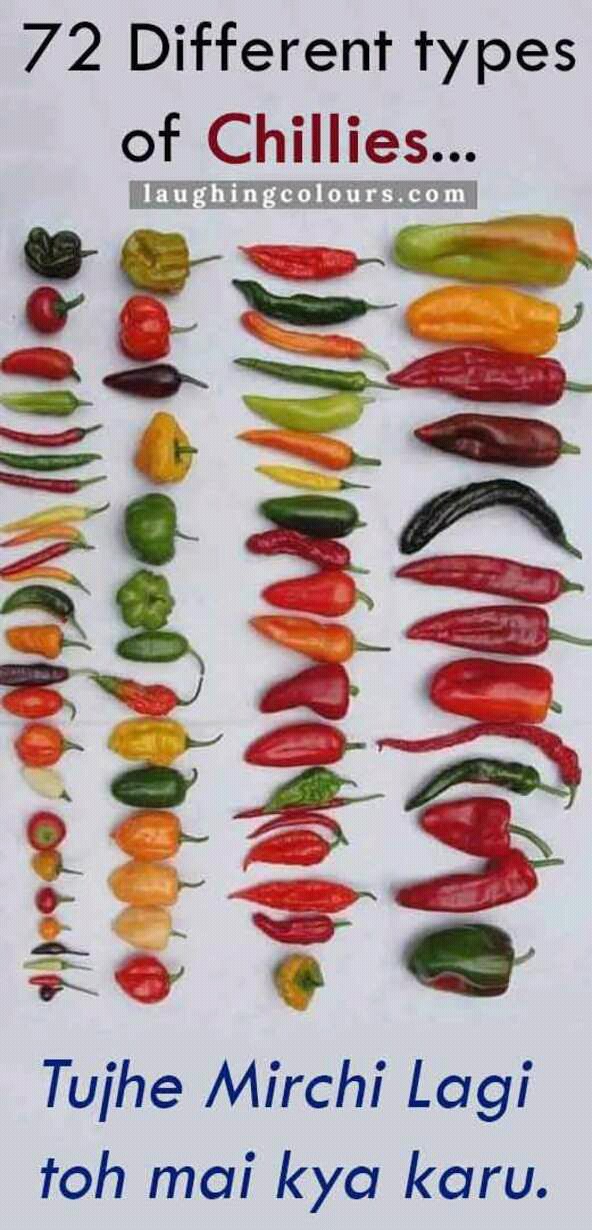 Chilli