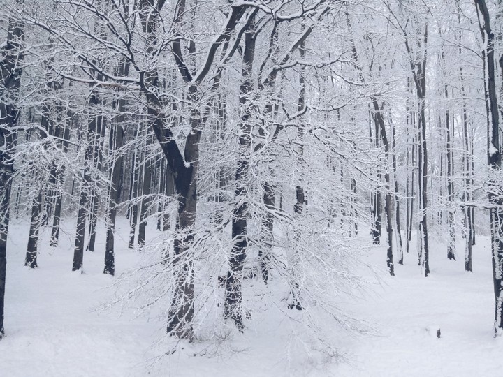 Winter