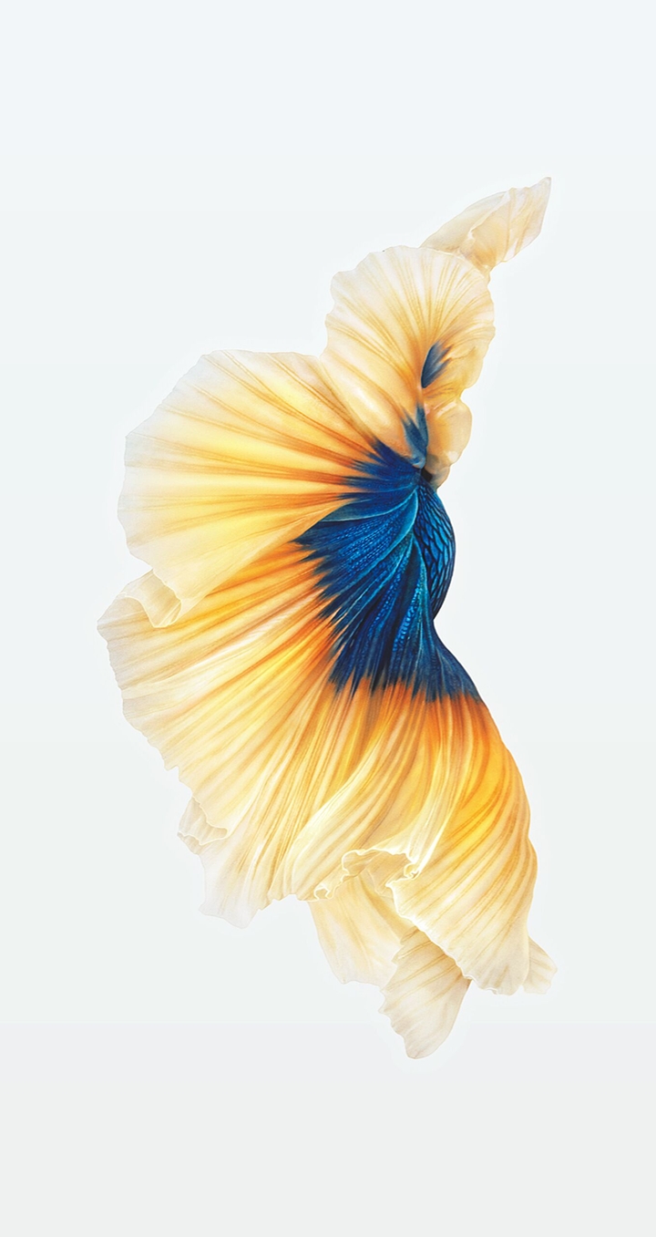 Iphone SE