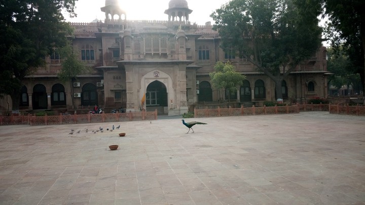 RAJASTHAN UNIVERSITY OF VETERINARY & ANIMAL SCIENCE BIKANER