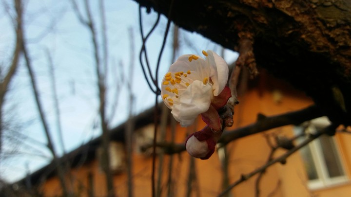 spring :-)
