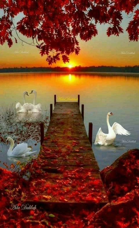 Paradise
