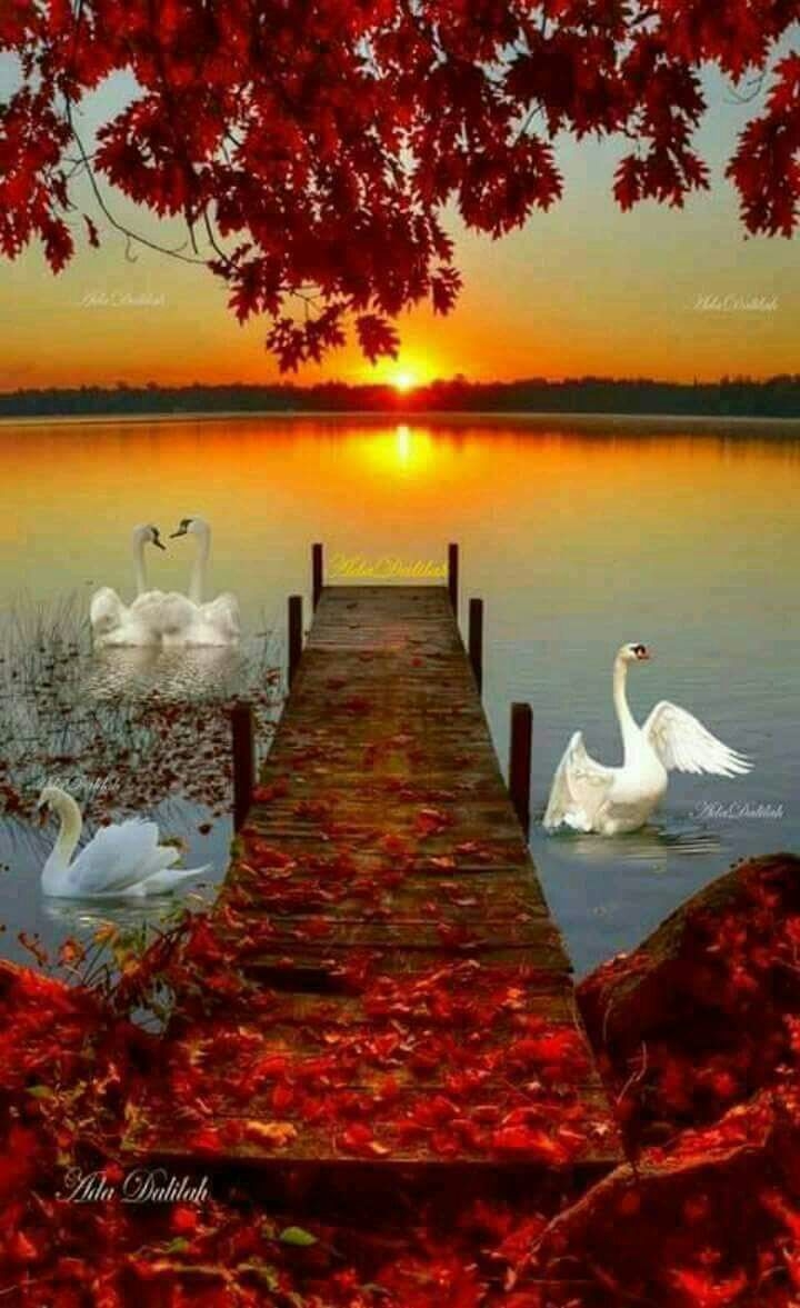Paradise