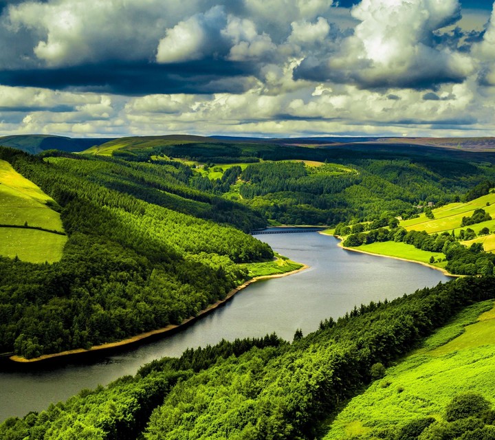 The nature