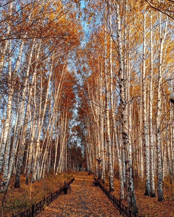 Autumn